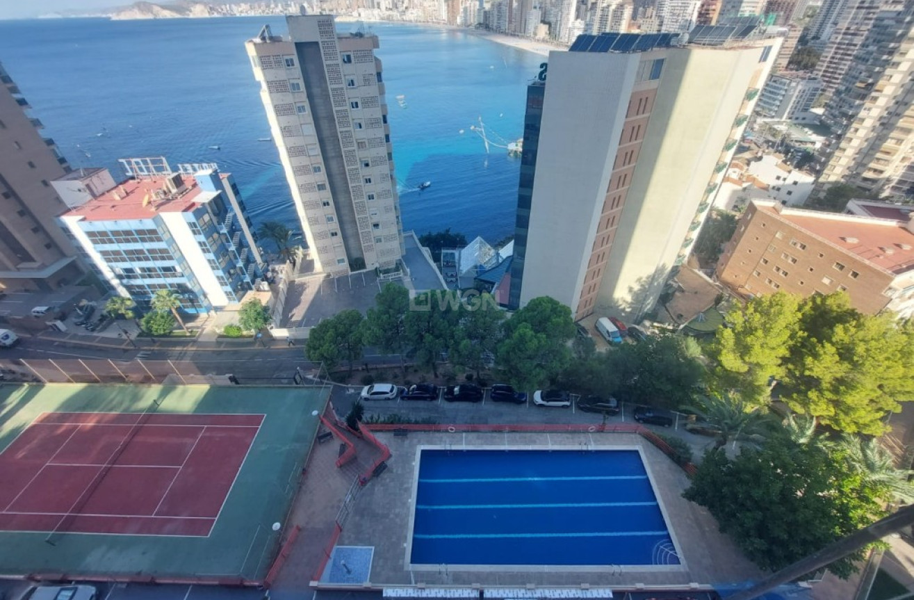 Reventa - Apartamento / piso - Benidorm - Costa Blanca