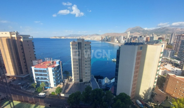 Reventa - Apartamento / piso - Benidorm - Costa Blanca