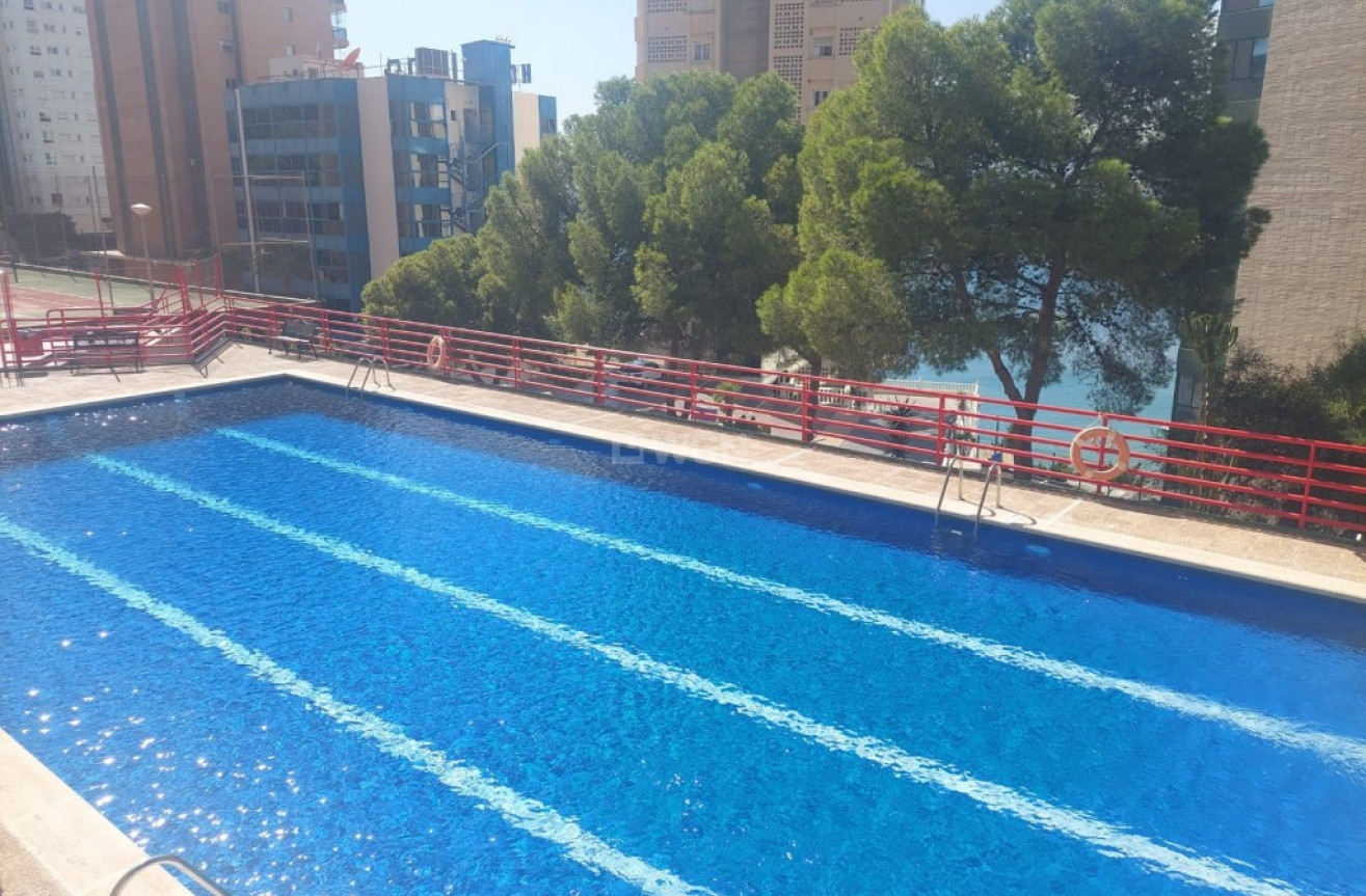 Reventa - Apartamento / piso - Benidorm - Costa Blanca