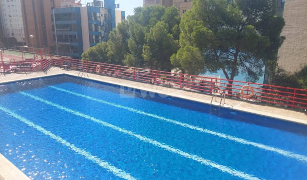 Reventa - Apartamento / piso - Benidorm - Costa Blanca