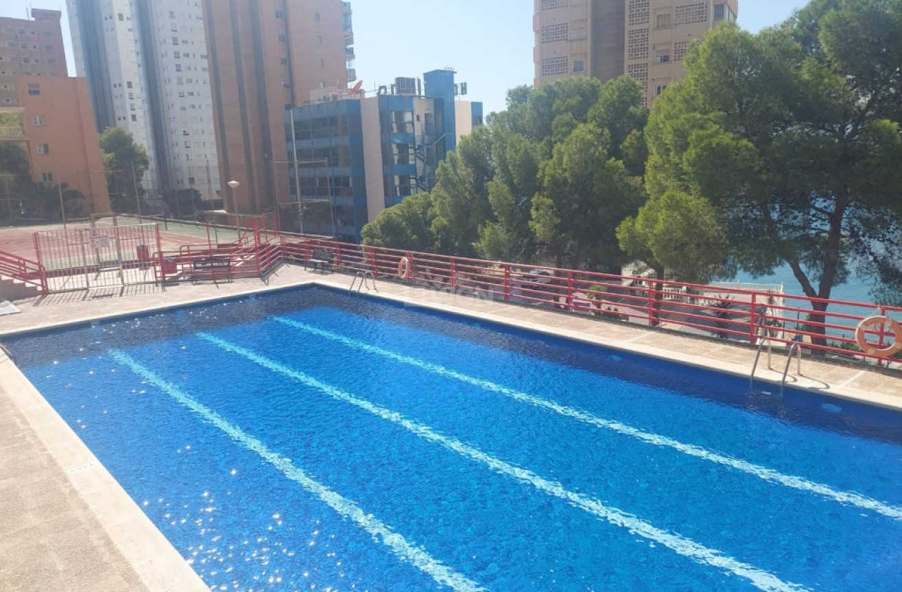 Reventa - Apartamento / piso - Benidorm - Costa Blanca