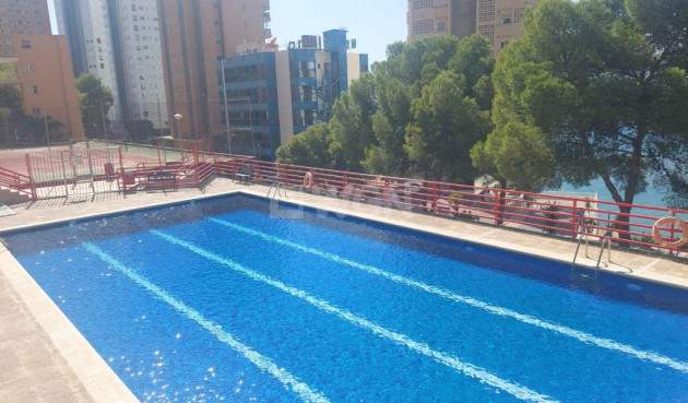 Reventa - Apartamento / piso - Benidorm - Costa Blanca