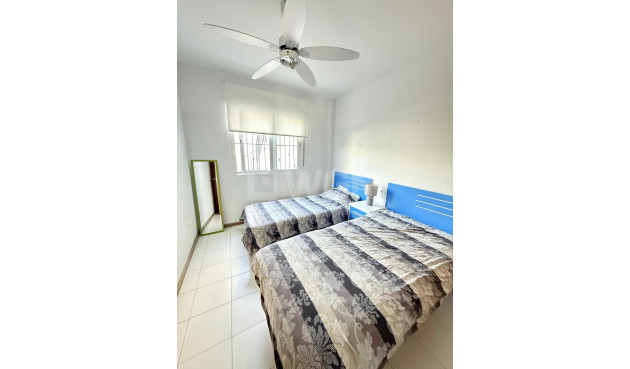 Odsprzedaż - Kamienica - Torrevieja - Parque Acuático - Sector 25