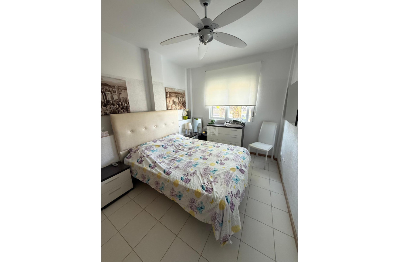 Odsprzedaż - Kamienica - Torrevieja - Parque Acuático - Sector 25