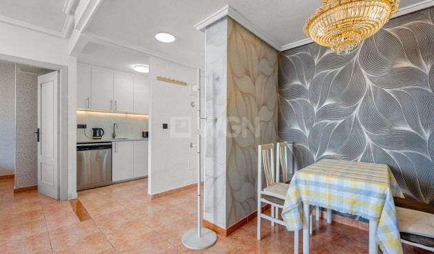 Reventa - Apartamento / piso - Torrevieja - Costa Blanca