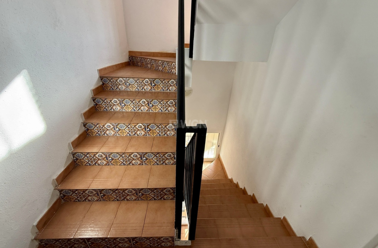 Resale - Commercial - San Miguel de Salinas - Inland