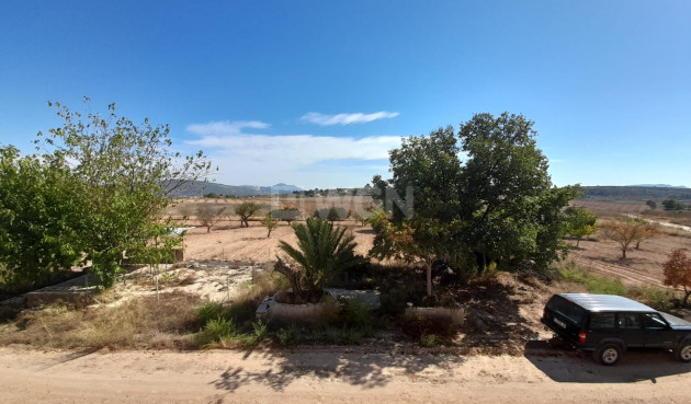 Reventa - Villa - Pinoso - Inland