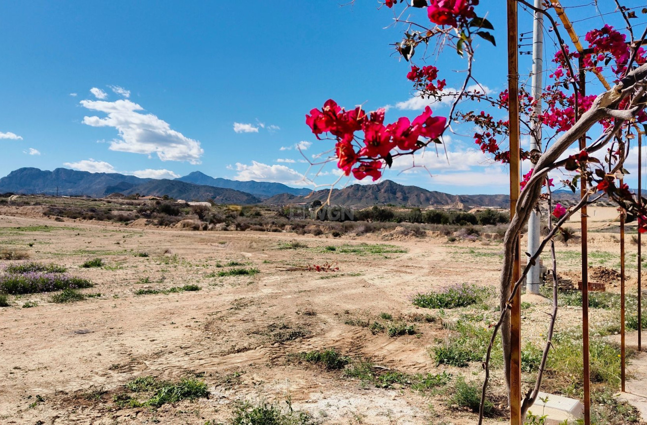 Resale - Villa - Abanilla - Inland