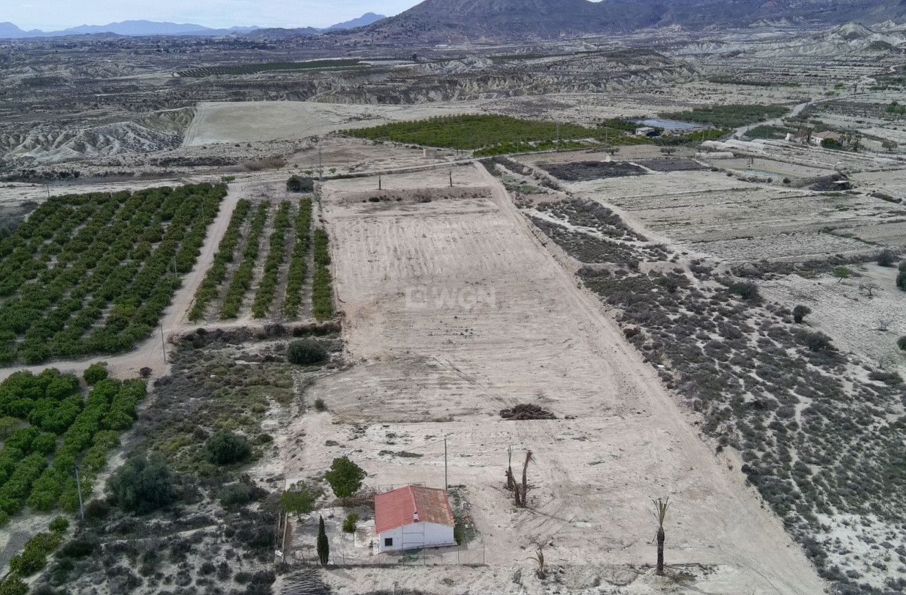 Resale - Villa - Abanilla - Inland