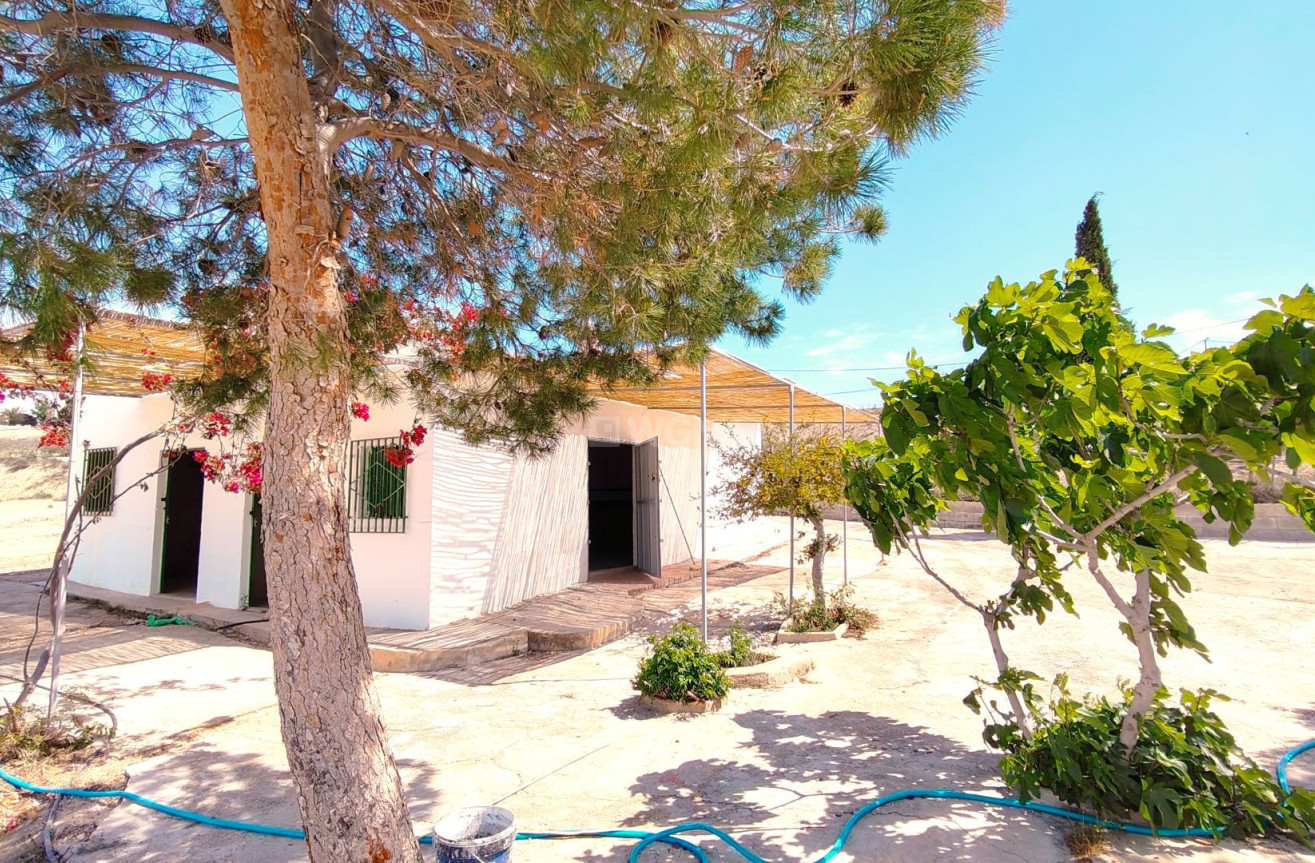 Resale - Villa - Abanilla - Inland