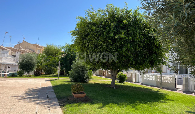 Odsprzedaż - Kamienica - Torrevieja - Centro