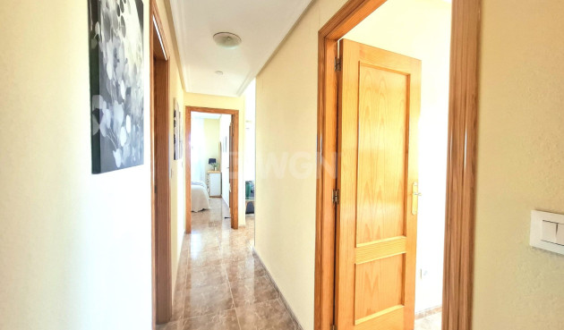 Resale - Apartment / flat - Torrevieja - Costa Blanca