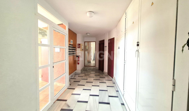 Resale - Apartment / flat - Torrevieja - Costa Blanca