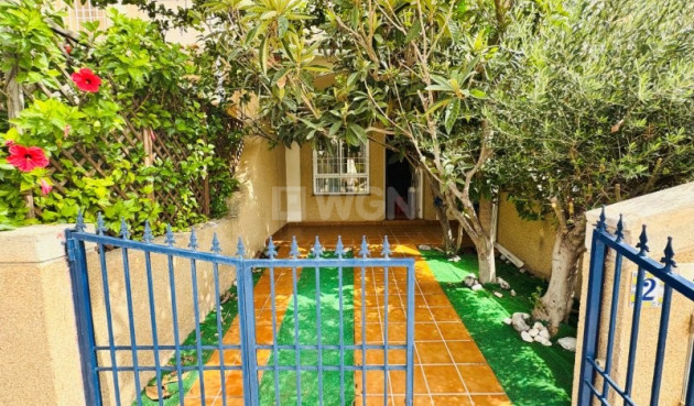 Resale - Duplex - Torrevieja - Costa Blanca