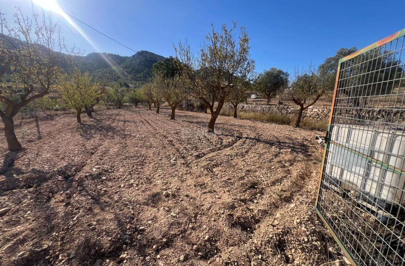 Wiederverkauf - Stadthaus - La Zarza - Inland