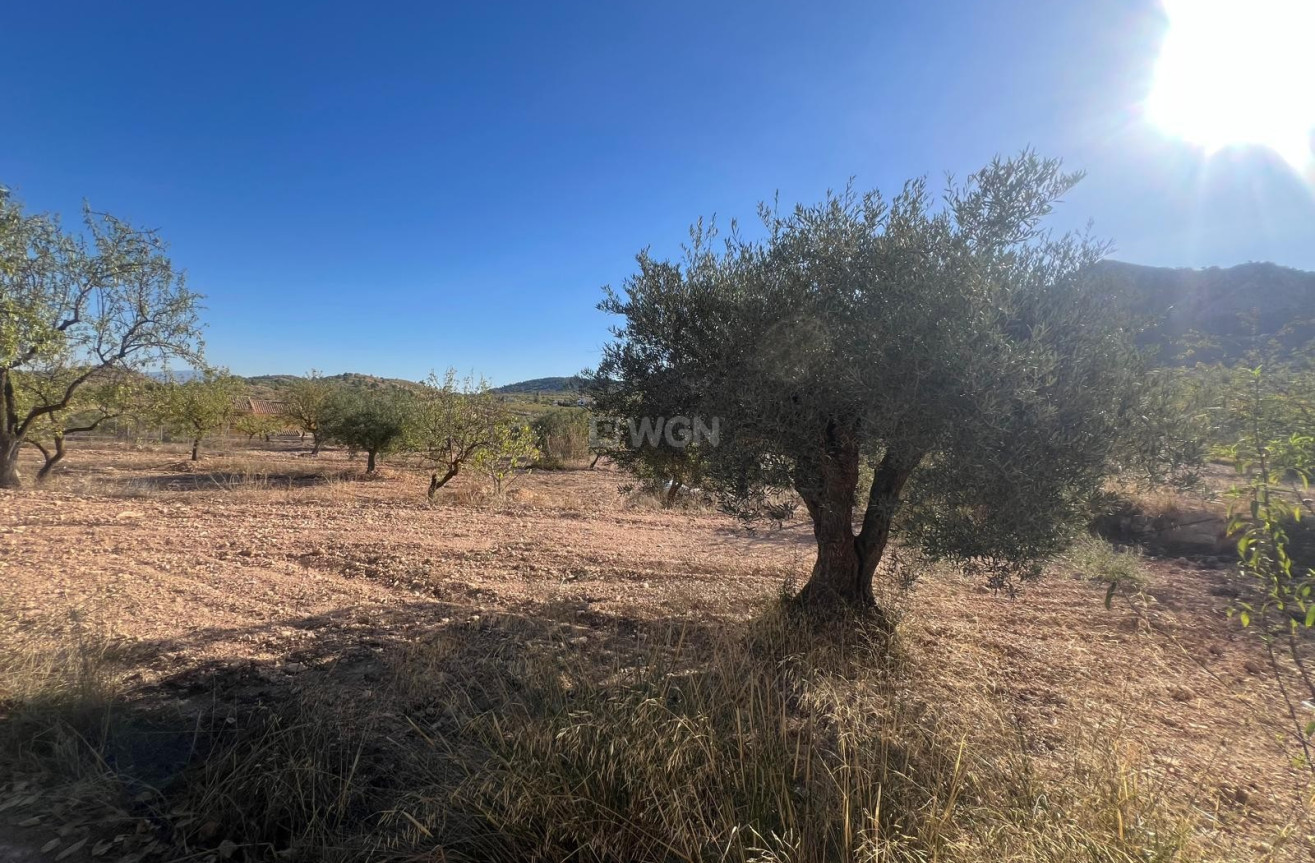 Wiederverkauf - Stadthaus - La Zarza - Inland