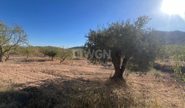 Wiederverkauf - Stadthaus - La Zarza - Inland