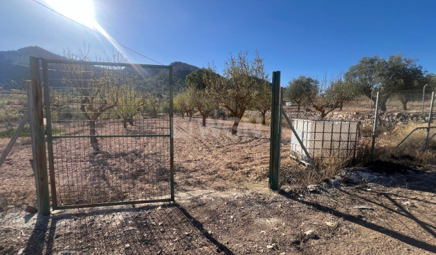 Wiederverkauf - Stadthaus - La Zarza - Inland