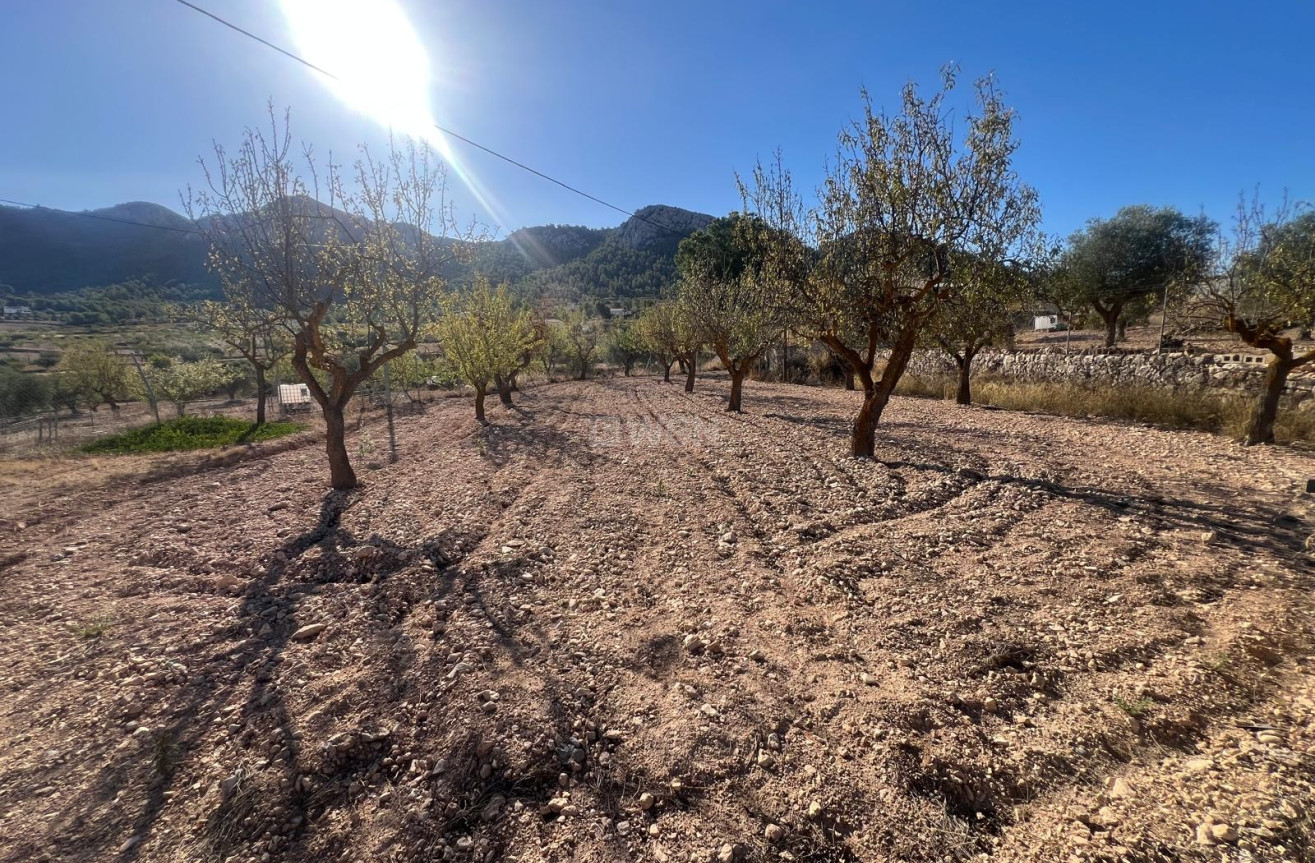 Wiederverkauf - Stadthaus - La Zarza - Inland