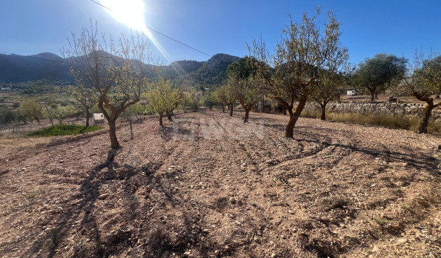 Wiederverkauf - Stadthaus - La Zarza - Inland