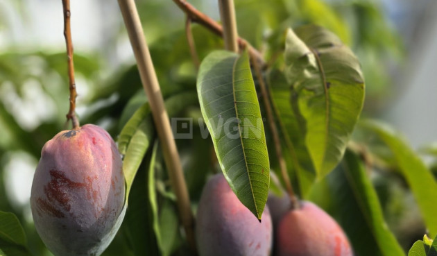 Odsprzedaż - Villa - Los Romanes - Inland