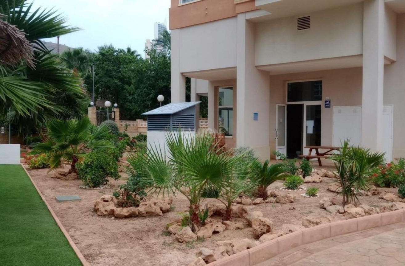 Odsprzedaż - Mieszkanie w bloku - Benidorm - Rincon De Loix Cruz