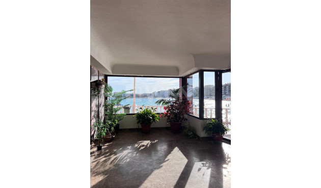 Resale - Apartment / flat - Torrevieja - Playa de los Locos