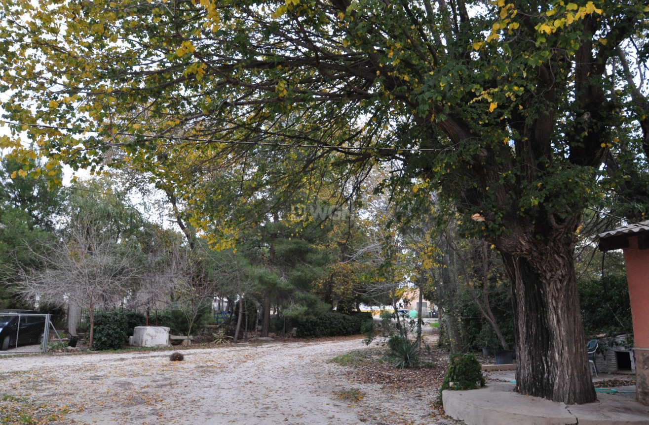 Reventa - Adosado - Pinoso - Inland