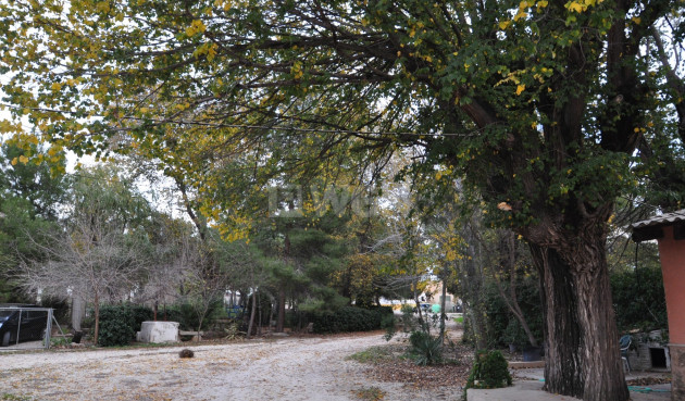 Reventa - Adosado - Pinoso - Inland