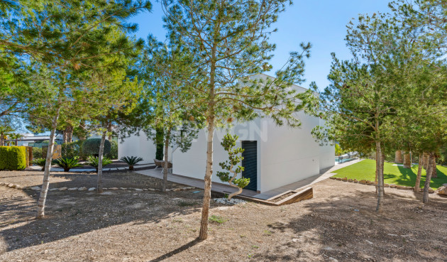 Wiederverkauf - Villa - Dehesa de Campoamor - Costa Blanca