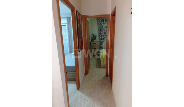 Wiederverkauf - Bungalow - San Miguel de Salinas - Costa Blanca Sur