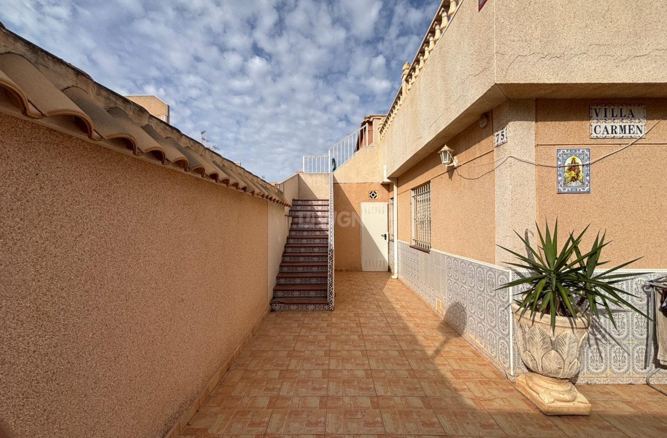 Odsprzedaż - Bungalow - Torrevieja - Carrefour