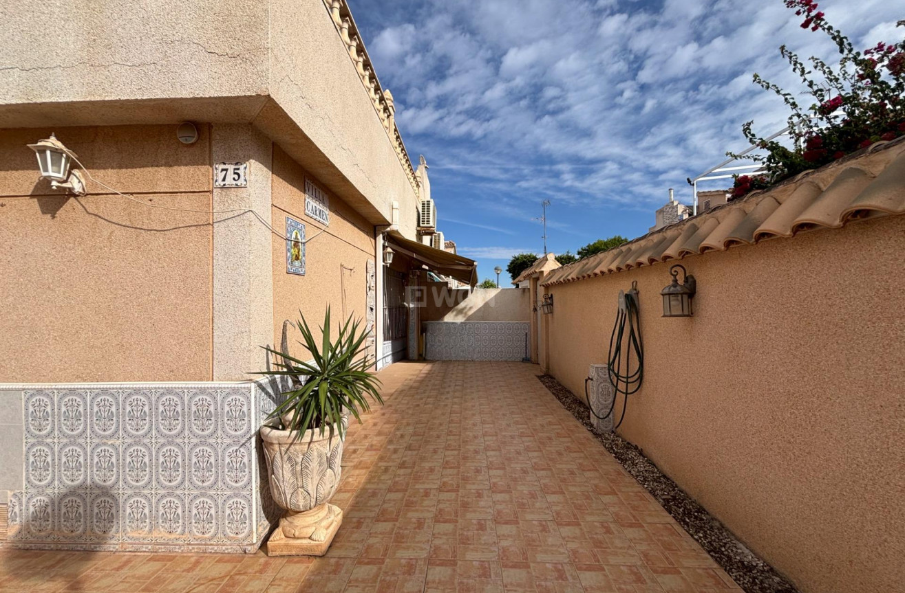 Odsprzedaż - Bungalow - Torrevieja - Carrefour