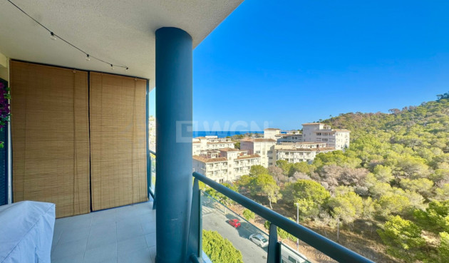 Reventa - Apartamento / piso - Villajoyosa - Costa Blanca