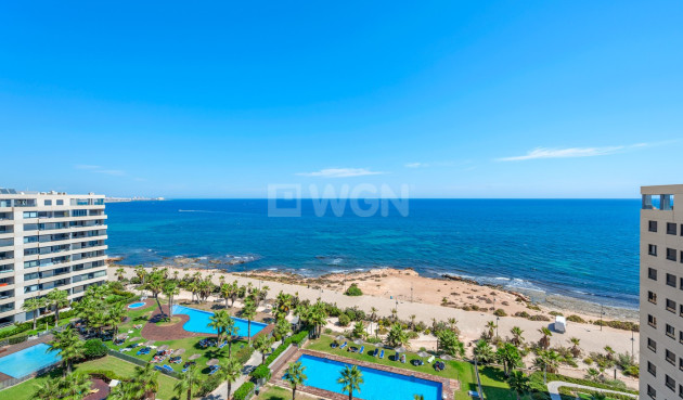 Resale - Apartment / flat - Torrevieja - Costa Blanca