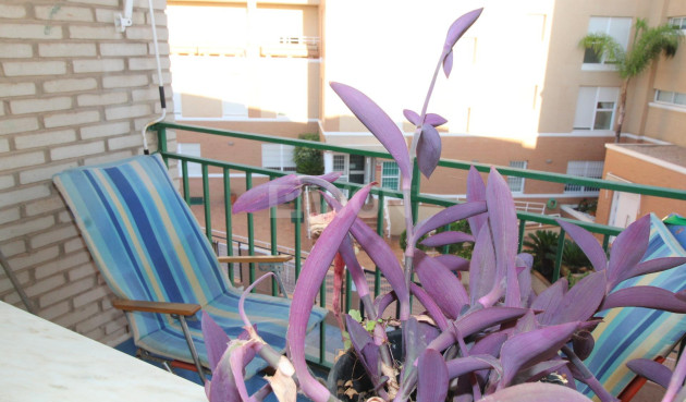 Wynajem długoterminowy - Mieszkanie w bloku - San Pedro del Pinatar - Lo pagan