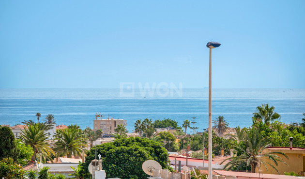 Resale - Property - Torrevieja - Costa Blanca