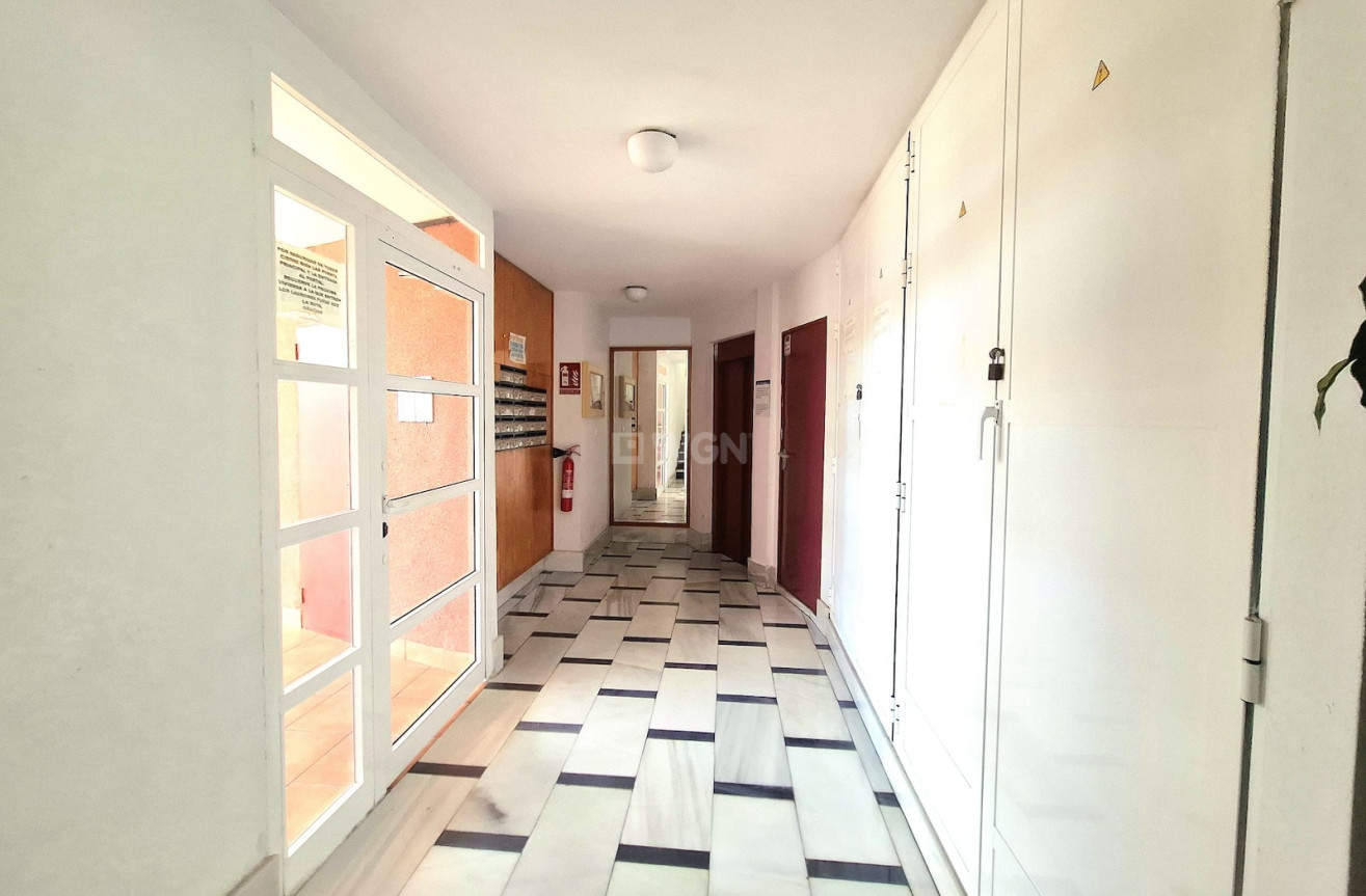 Wiederverkauf - Wohnung - Torrevieja - Costa Blanca
