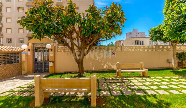 Odsprzedaż - Mieszkanie w bloku - Torrevieja - Costa Blanca