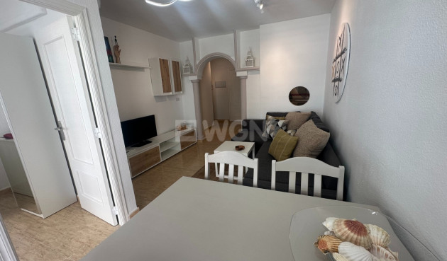 Odsprzedaż - Mieszkanie w bloku - Torrevieja - Costa Blanca