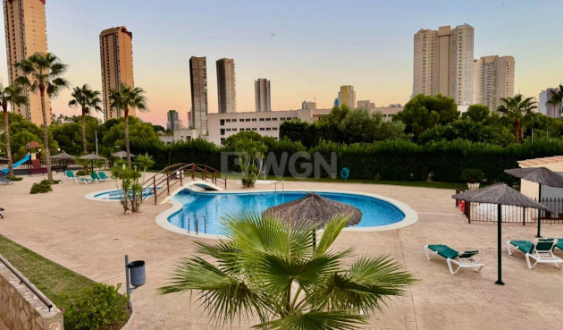 Resale - Apartment / flat - Benidorm - Via Parque