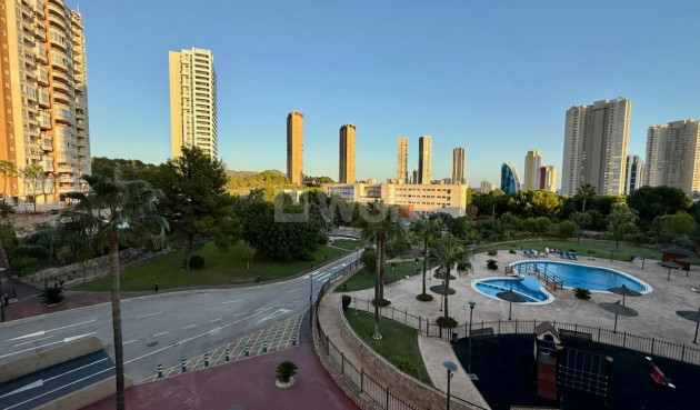 Resale - Apartment / flat - Benidorm - Via Parque