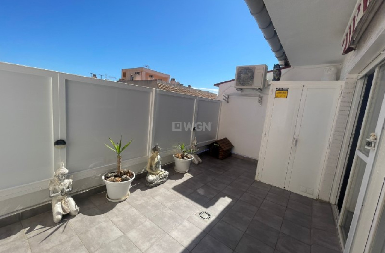 Odsprzedaż - Daszek - Torrevieja - Costa Blanca