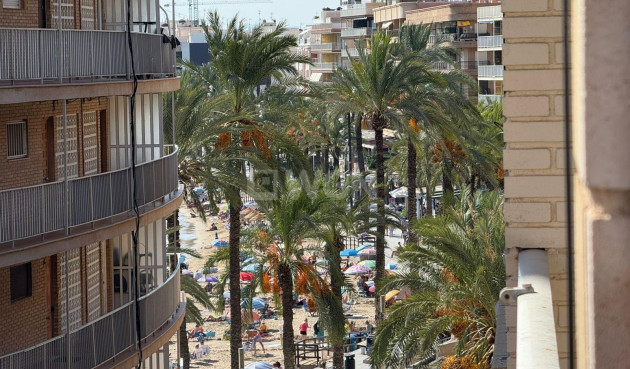 Wiederverkauf - Wohnung - Torrevieja - Playa del Cura