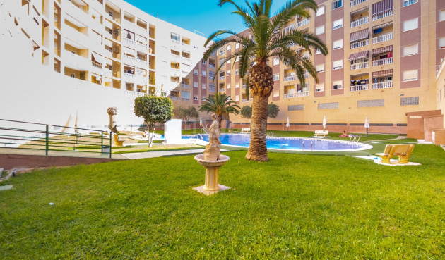 Reventa - Apartamento / piso - Torrevieja - PARQUE DE LAS NACIONES