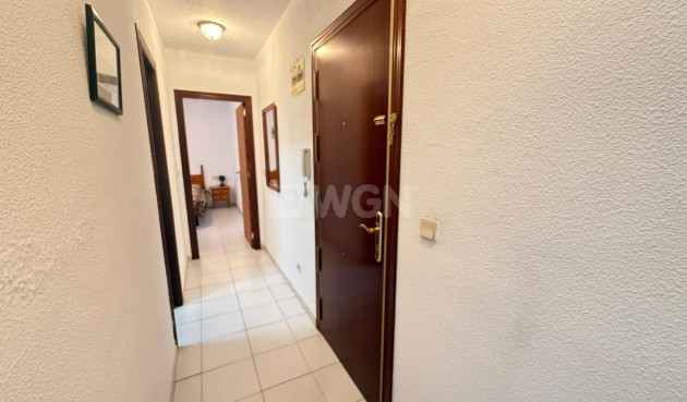 Wiederverkauf - Wohnung - Torrevieja - Playa del Cura