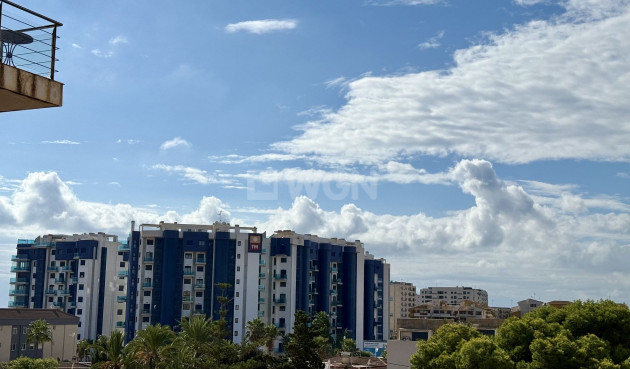 Odsprzedaż - Mieszkanie w bloku - Torrevieja - Costa Blanca