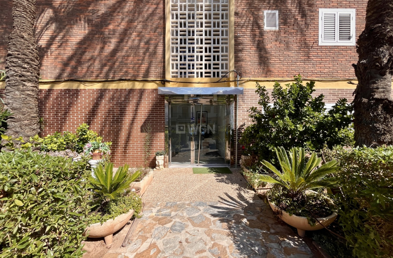 Reventa - Apartamento / piso - La Zenia - Costa Blanca