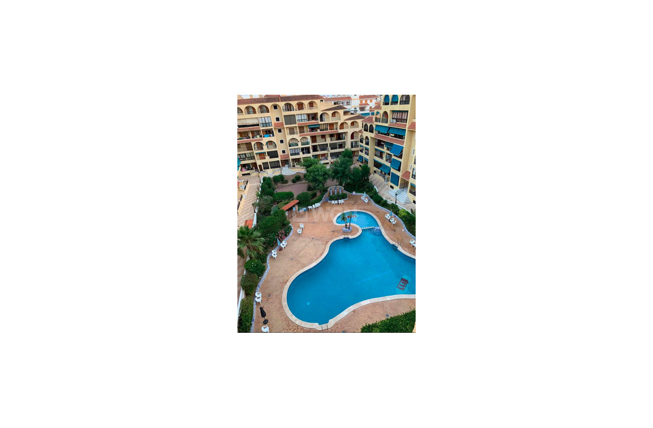 Resale - Apartment / flat - Torrevieja - Costa Blanca