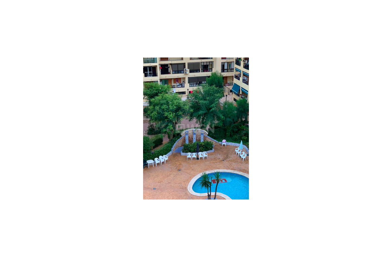 Resale - Apartment / flat - Torrevieja - Costa Blanca